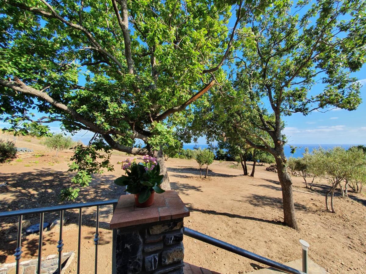 Agriturismo Le Terre Di Venere Acciaroli Exterior foto
