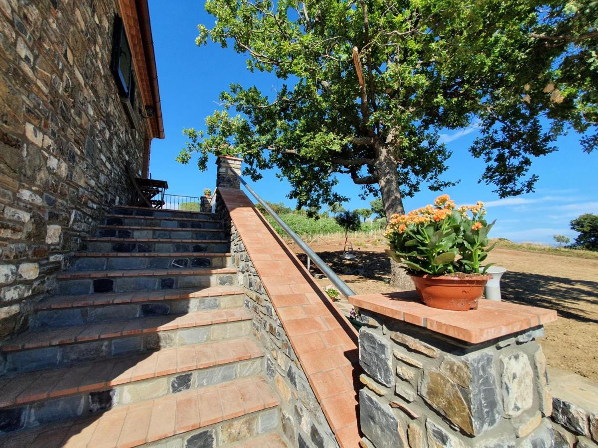 Agriturismo Le Terre Di Venere Acciaroli Exterior foto