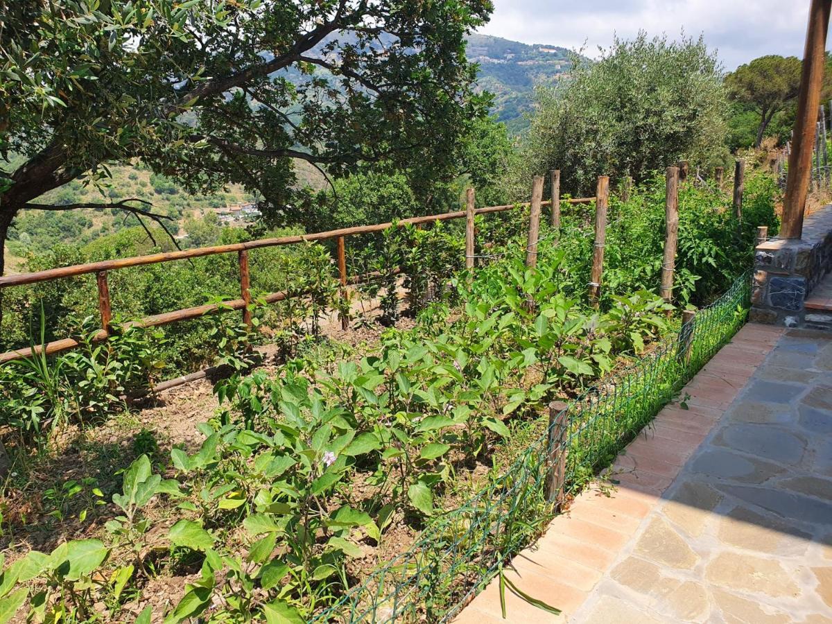 Agriturismo Le Terre Di Venere Acciaroli Exterior foto
