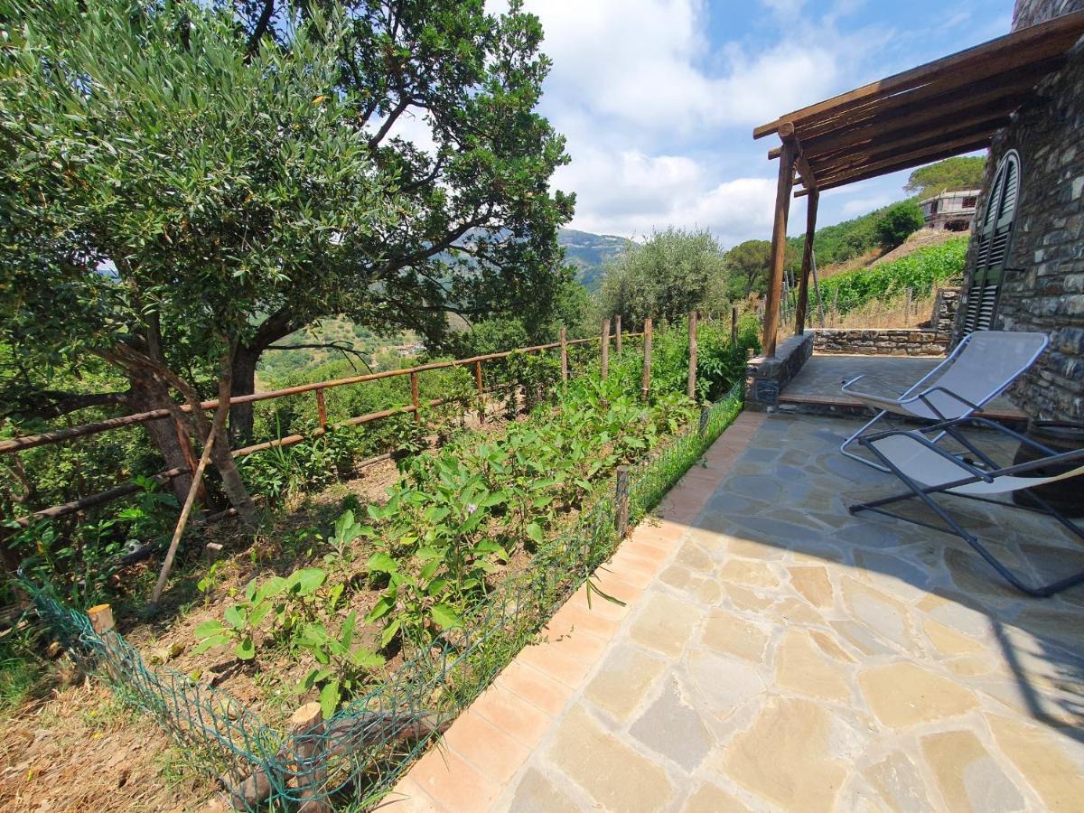 Agriturismo Le Terre Di Venere Acciaroli Exterior foto
