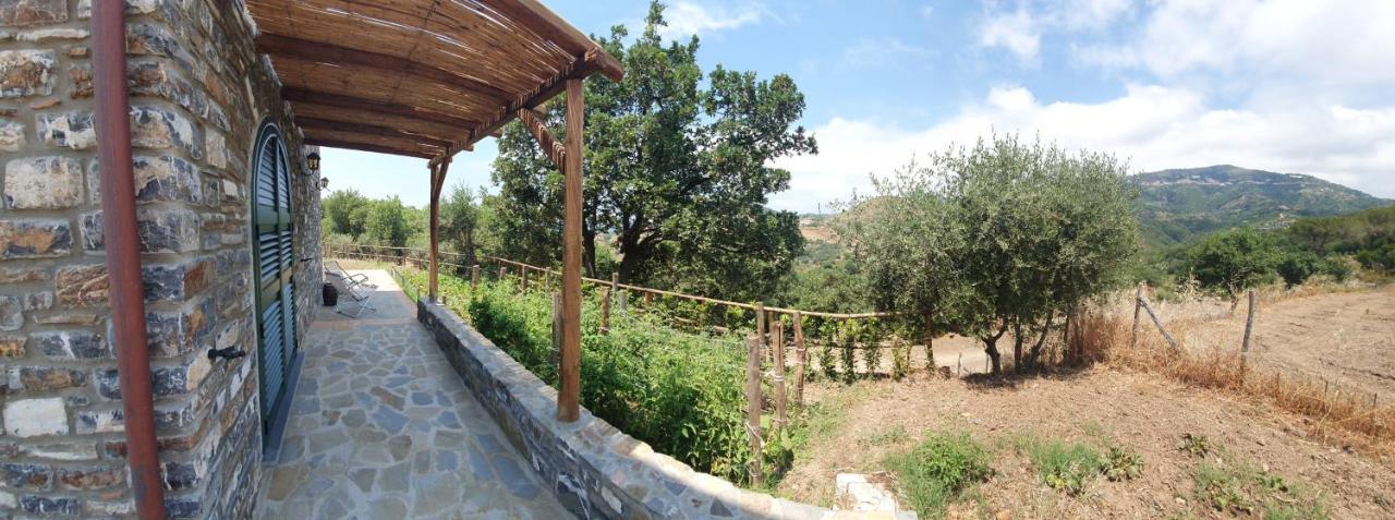 Agriturismo Le Terre Di Venere Acciaroli Exterior foto