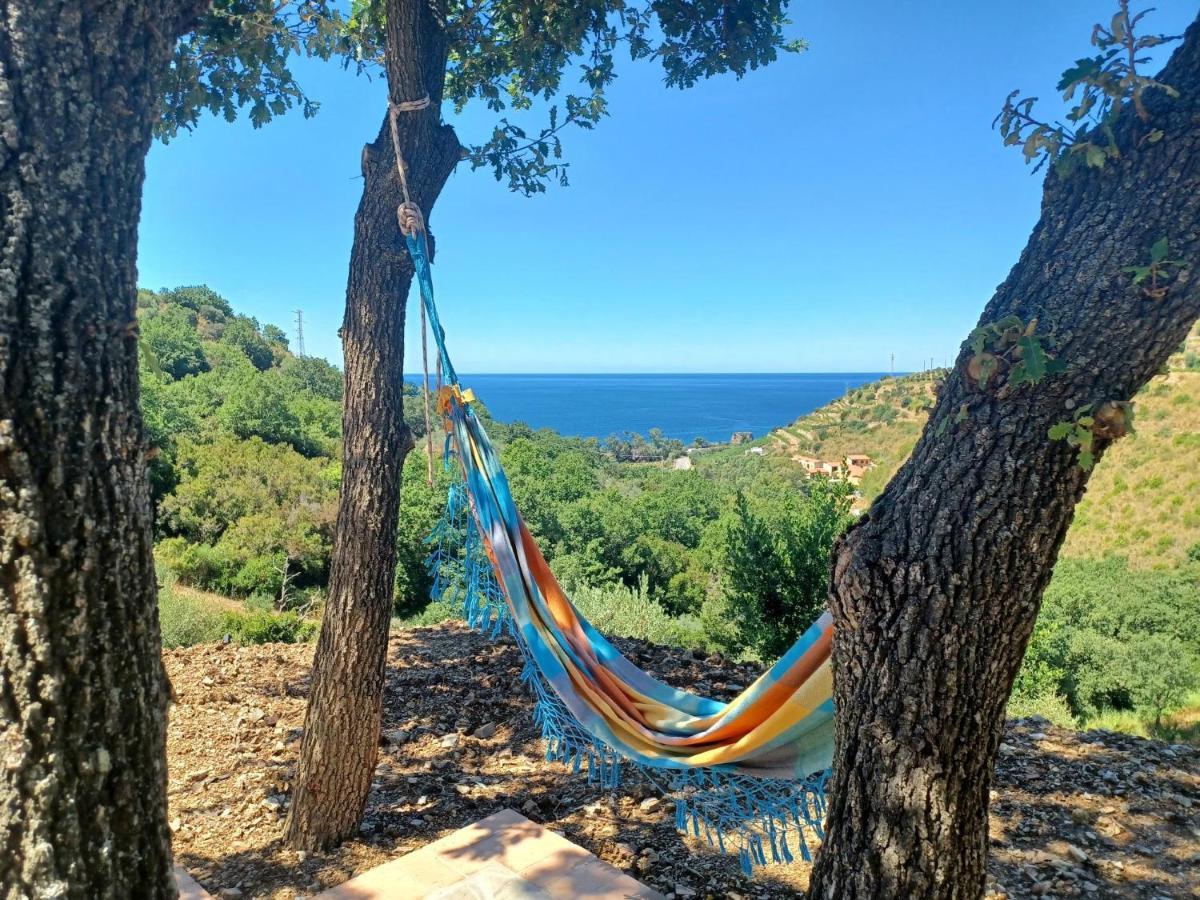 Agriturismo Le Terre Di Venere Acciaroli Exterior foto
