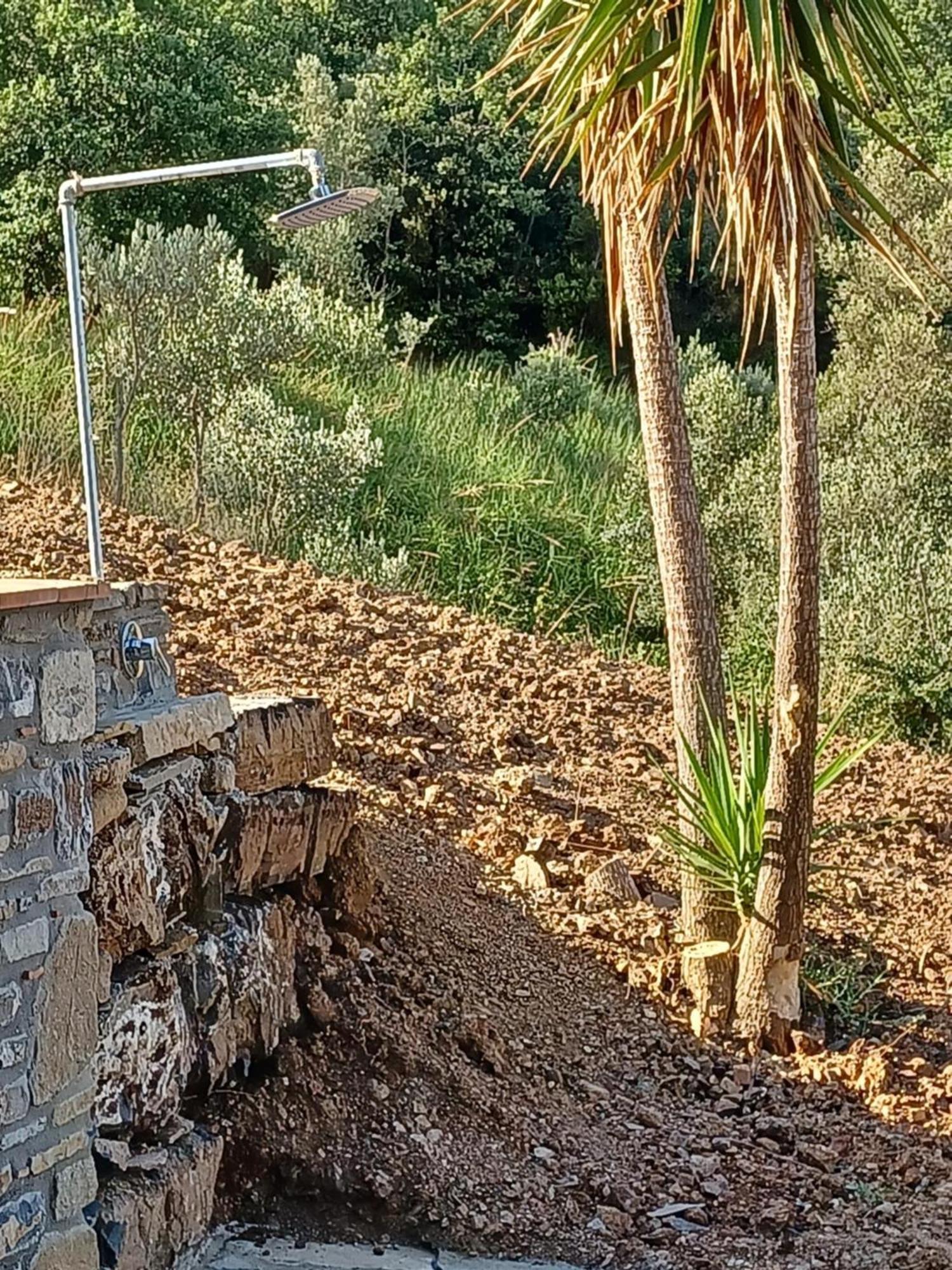 Agriturismo Le Terre Di Venere Acciaroli Quarto foto